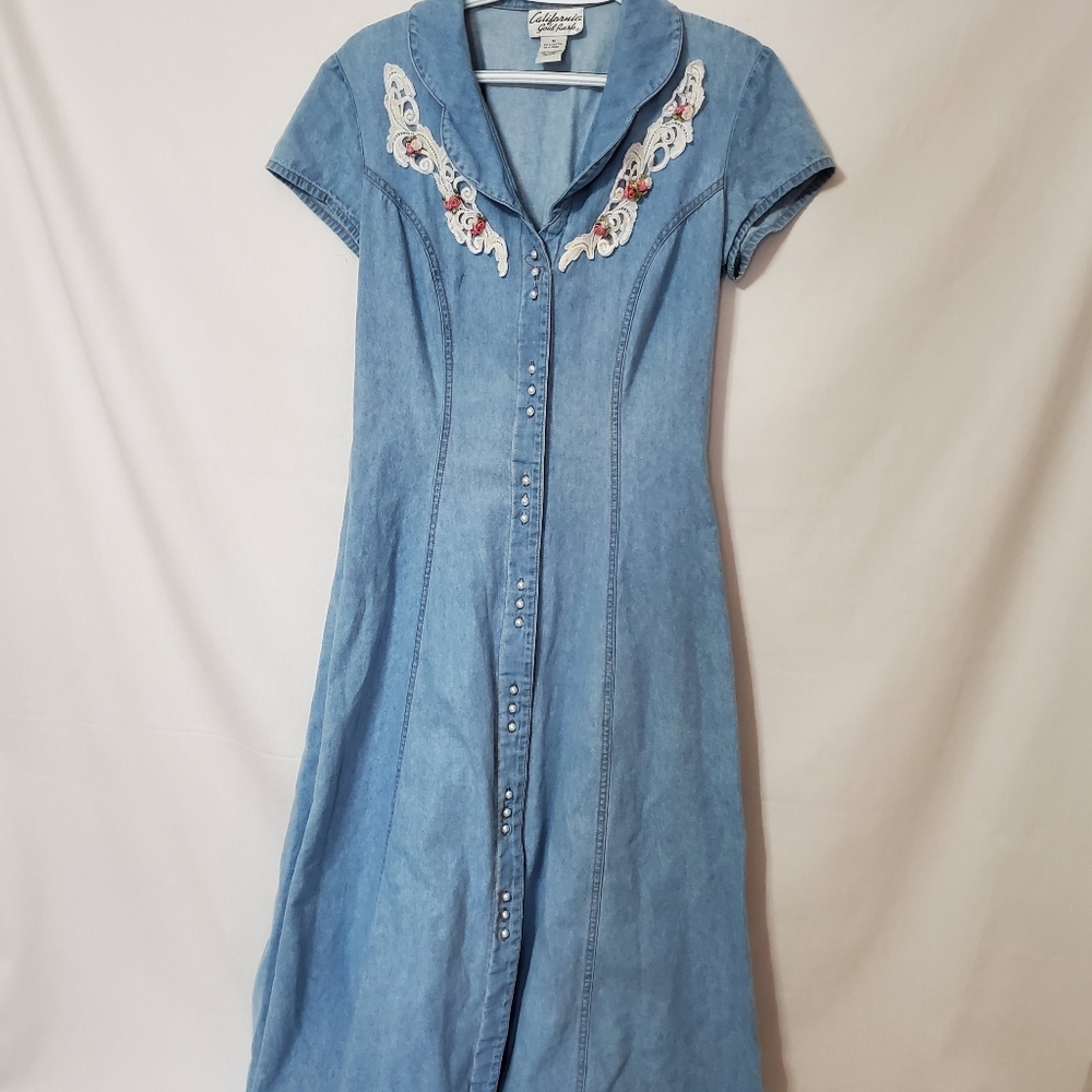 California Gold Rush Vintage Dress